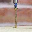 Picture of C2 5.0mm x 50mm PZ2 Woodscrews