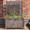 Picture of Alderley Grey Planter & Trellis