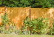 Picture of Grange Superior Lap Fence Panel 1.8m